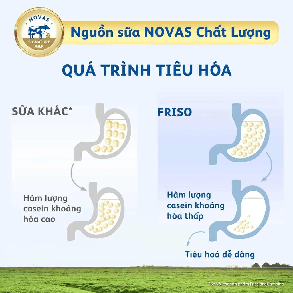 Sữa Friso Mum Gold Hương Cam 400g